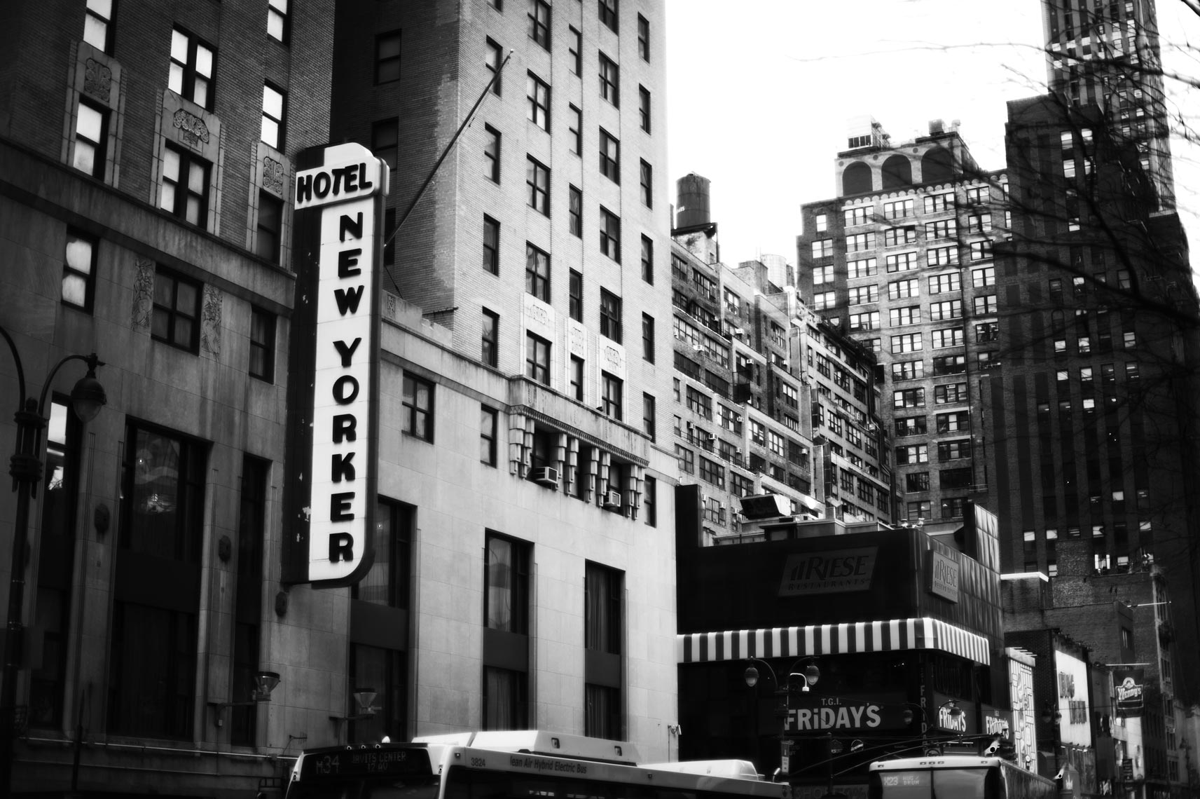 New Yorker
